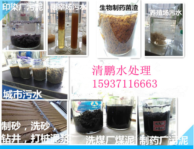 河南聚丙烯酰胺廠家